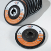 Flab Disc 115ZA60-02